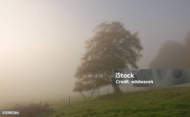 Lonely In Dense Fog Stock Photo - Download Image Now - Abbey - Monastery, County Meath, Dawn