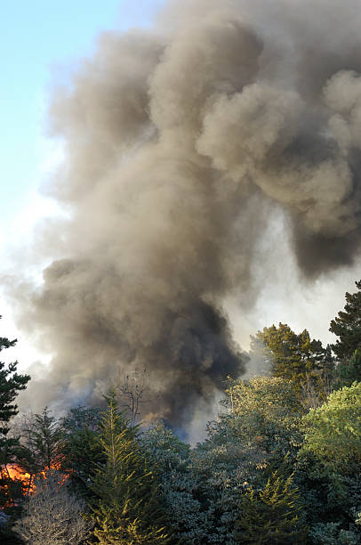 istock Smoke and Fire From Out of Control Wildfire 512981999