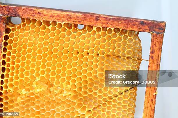 Bienenwabe In Holzrahmen Stockfoto und mehr Bilder von Balkengerüst - Balkengerüst, Bestäubung, Bienenwabe