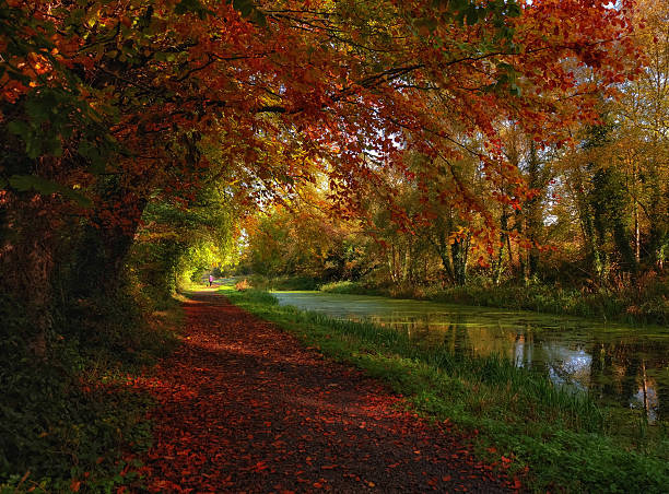 . el otoño senderos. - navan irlanda fotos fotografías e imágenes de stock