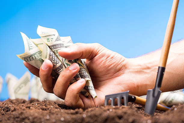 istock American dollars grow from the ground 512984137
