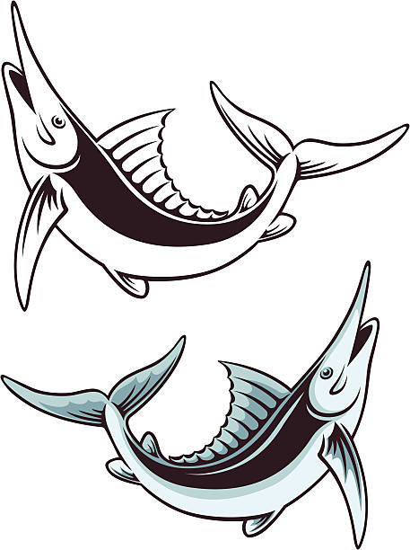 fish marlin The picture shows the fish Marlin black marlin stock illustrations