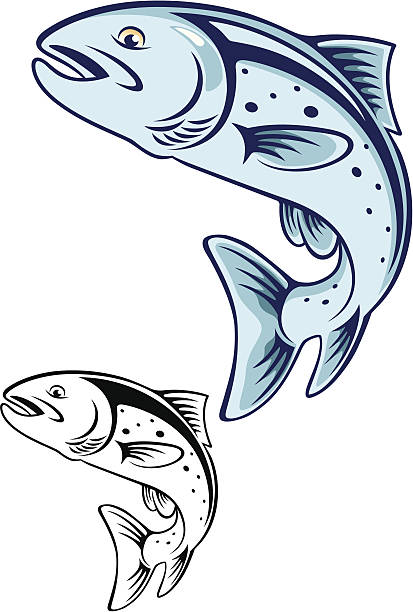 ilustrações de stock, clip art, desenhos animados e ícones de truta - trout fishing silhouette salmon