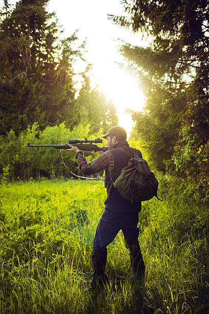 istock Hunting In The Meadow In The Forest 512984344