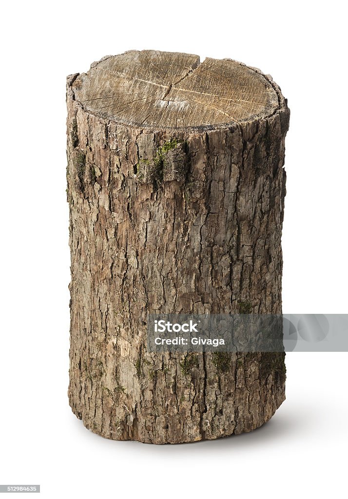 Vertical stump Vertical stump isolated on a white background Tree Trunk Stock Photo