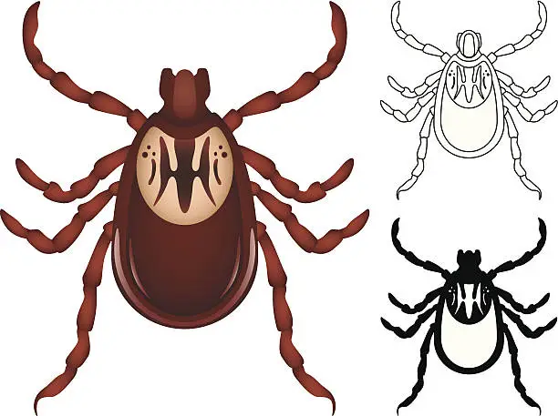 Vector illustration of Tick