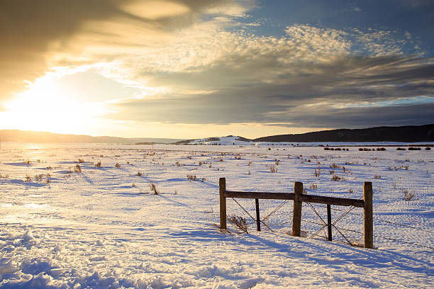 istock Golden Snow - Targhee National Forest. 512986182