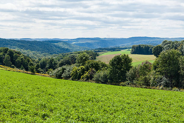 Countryside valley in Upstate New York Hills and valleys near Cohocton, New York in the Finger Lakes Regionc finger lakes stock pictures, royalty-free photos & images