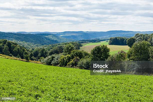 Countryside Valley In Upstate New York Stock Photo - Download Image Now - New York City, New York State, Finger Lakes