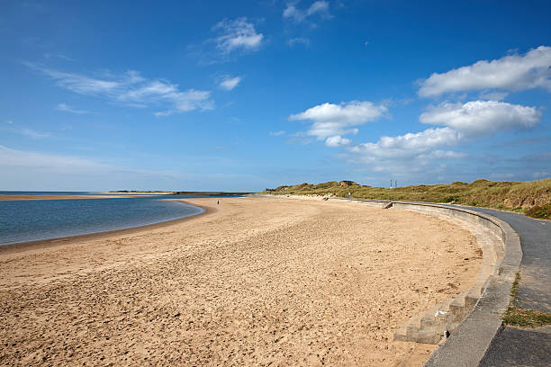 istock Female dog walker at the seashore 512987263