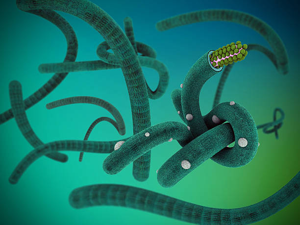 istock illustration of virus like ebola on gradient background 512988303