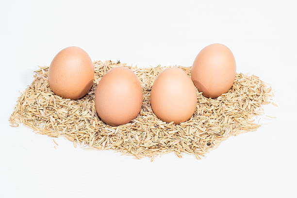 four eggs with the husk stock photo