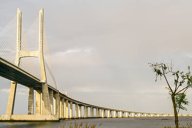 istock vasco of the bridge range at sunset 512992154