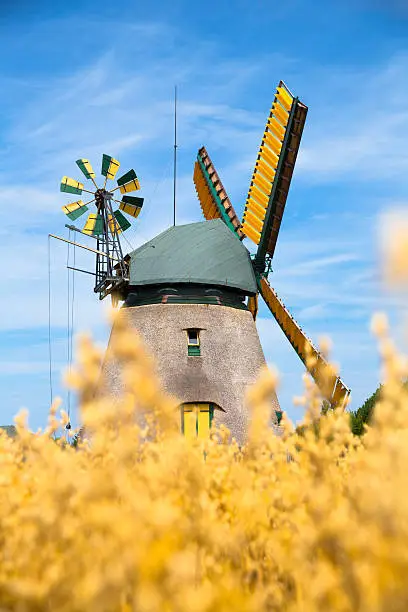 Photo of windmill on grain field