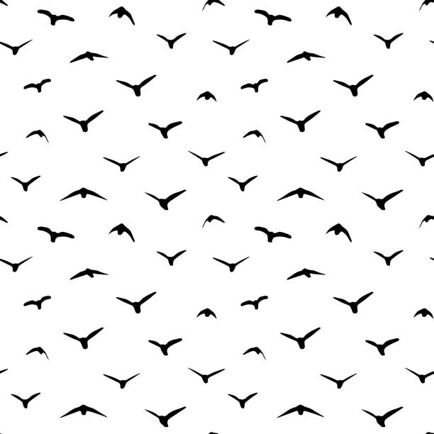 ilustraciones, imágenes clip art, dibujos animados e iconos de stock de silueta de pájaros en un fondo blanco - chirrup