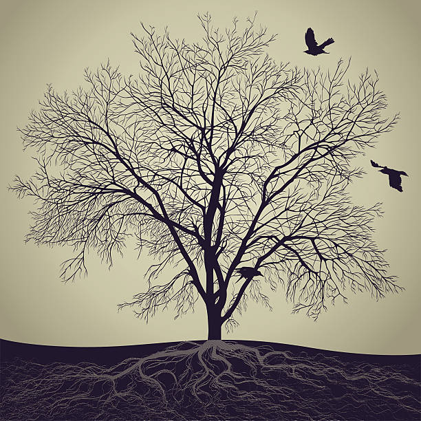 winter tree Silhouette of a big tree with a root and birds. Each element of the illustrations can be removed or used separately. white crow stock illustrations