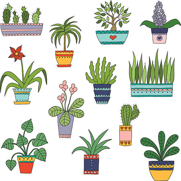 ilustrações, clipart, desenhos animados e ícones de linda mão desenhada em vetor de flores no vapor - flower pot potted plant cactus single flower