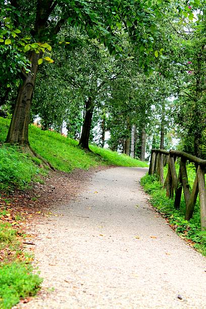 small road in the park curved and dirt road in the park with wooden fence strada sterrata stock pictures, royalty-free photos & images