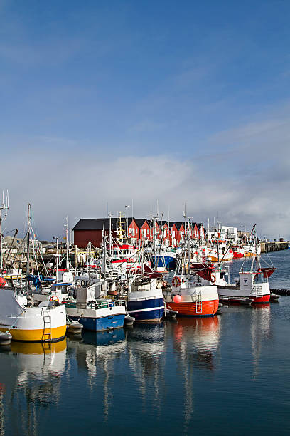 istock Fishing harbor of Andenes 512996054