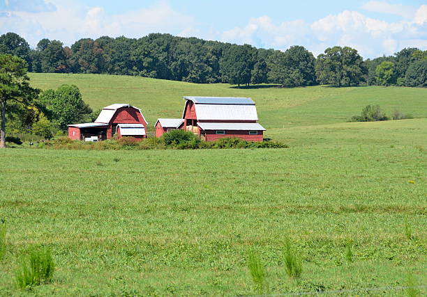 Red Barn Red Barn at rural Georgia, USA georgia country stock pictures, royalty-free photos & images