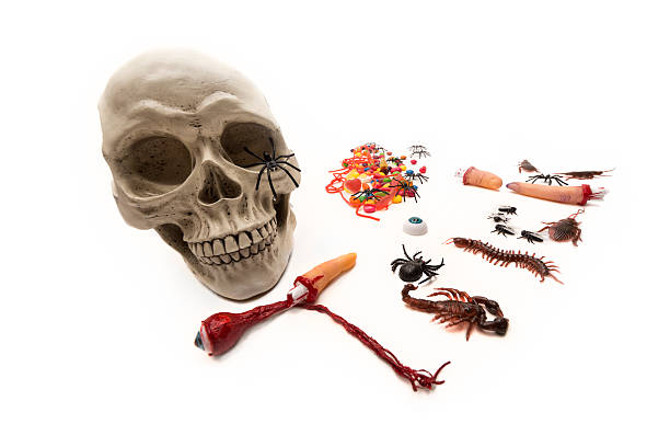 istock Trick or Treat candy and bugs with skull on white 512998889