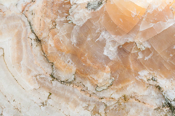 istock surface of the rock texture background 513000309