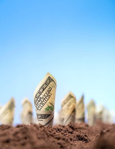 istock American dollars grow from the ground 513000819