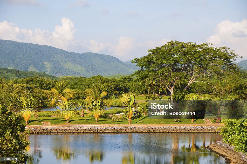 Ixtapa Golf Course With bougainvillea, palm trees, and mountains in the background, this is what people think of when they think about visiting Mexico.  The image was taken near the marina in Ixtapa, which is close to Zihuatanejo, Mexico. Zihuatanejo Stock Photo