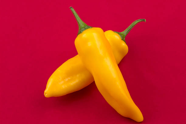 istock Yellow peppers ripening 513018315