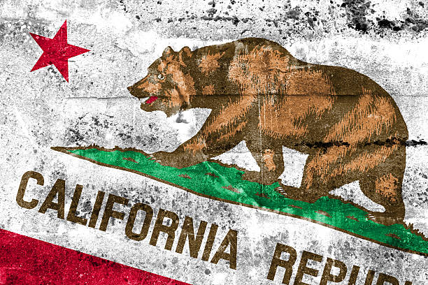istock California State Flag painted on grunge wall 513021765