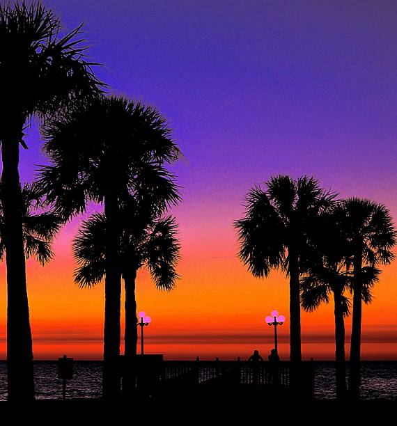 istock Sunset, Pine Island Florida 513022527