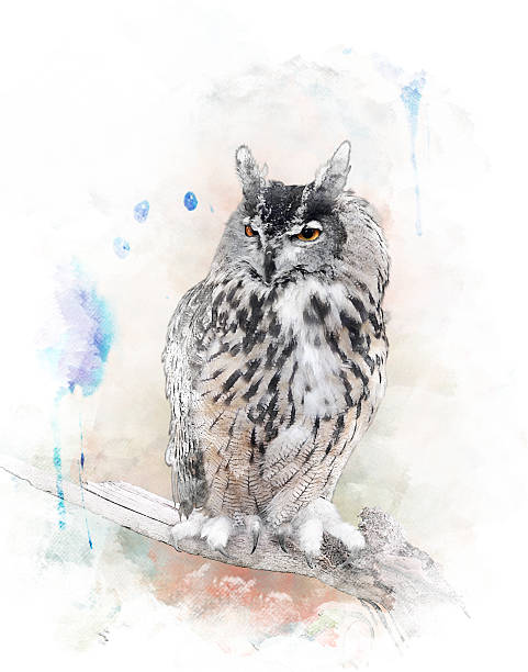 istock Watercolor Image Of  Owl 513023555