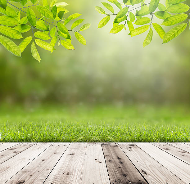 istock Wood floor on the forest. Nature background. 513024769