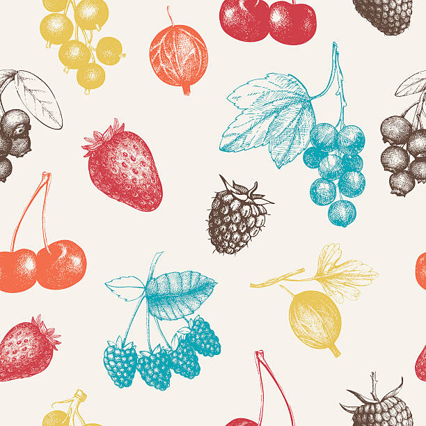 illustrazioni stock, clip art, cartoni animati e icone di tendenza di vintage sfondo di frutta e bacca seamless - raspberry gooseberry strawberry cherry