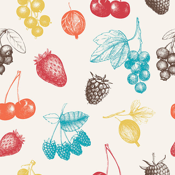 винтажный фрукты и ягоды бесшовный фон - raspberry gooseberry strawberry cherry stock illustrations