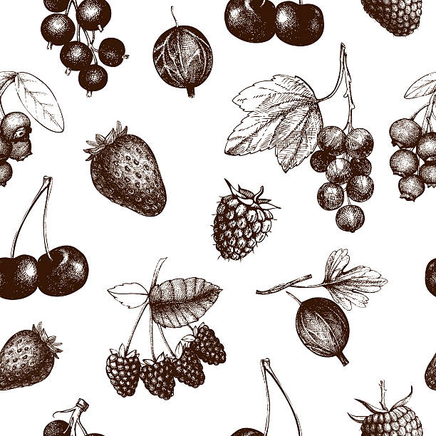 ヴィンテージのフルーツとベリーのシームレスな背景 - gooseberry fruit berry backgrounds点のイラスト素材／クリップアート素材／マンガ素材／アイコン素材