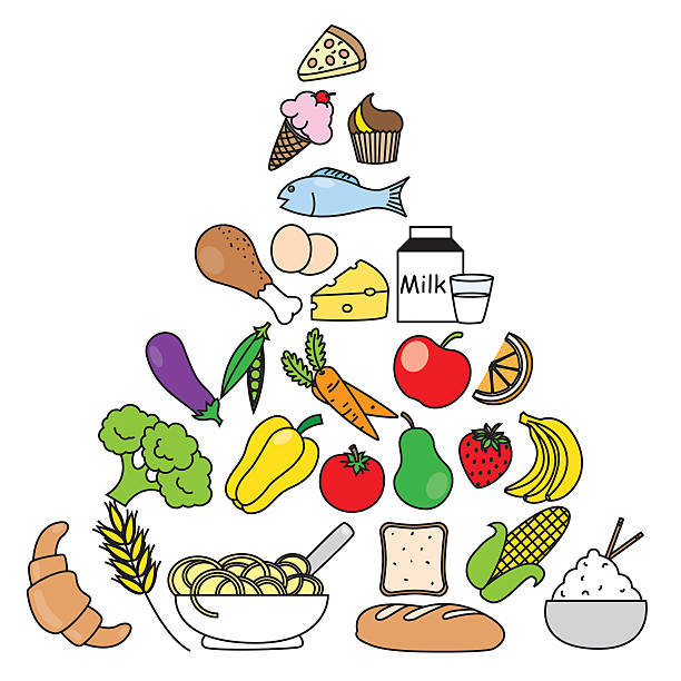 ilustraciones, imágenes clip art, dibujos animados e iconos de stock de pirámide de comida - food pyramid food healthy eating spaghetti