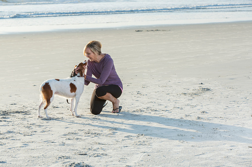 A mature woman on a walk with her dog, a brittany spaniel, at the beach. She has stopped and is kneeling down to pet her best friend. They are face to face.
