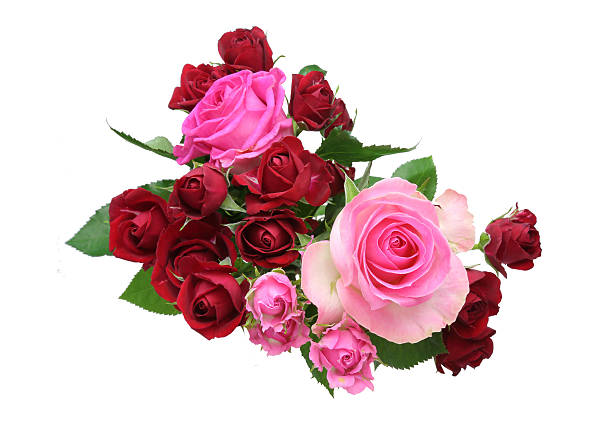 istock Bouquet of roses 513045030