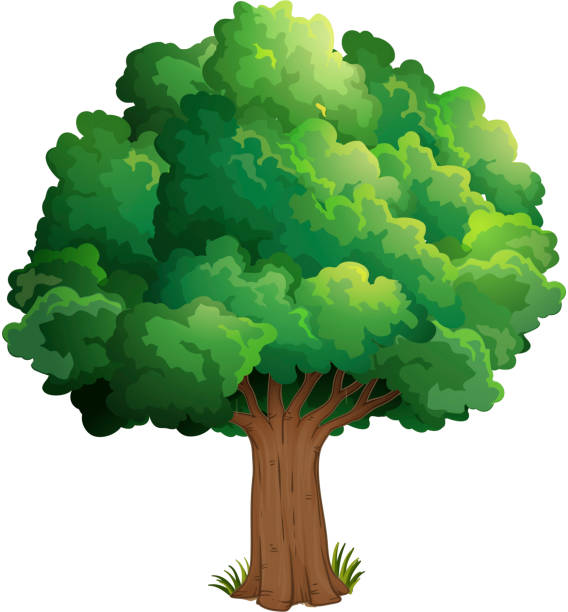 ilustraciones, imágenes clip art, dibujos animados e iconos de stock de árbol en el bosque - grass branch wealth forest