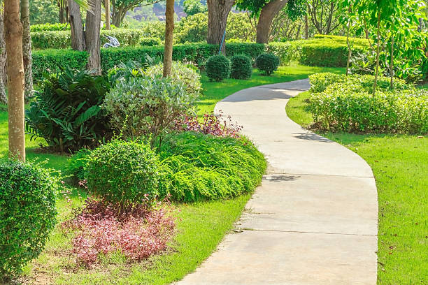 istock Landscaping in the park. 513048867