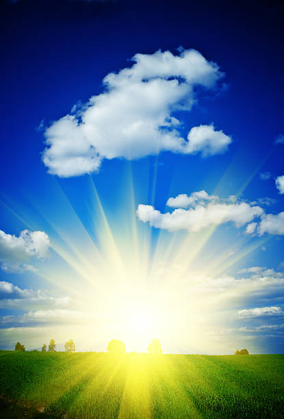 istock sunrise on a green field 513050042
