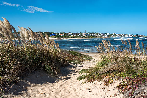 La Barra Beach near Punta del Este in Uruguay Beach in La Barra, a picturesque famous popular seaside holiday destination in Punta del Este, Uruguay playas del este stock pictures, royalty-free photos & images