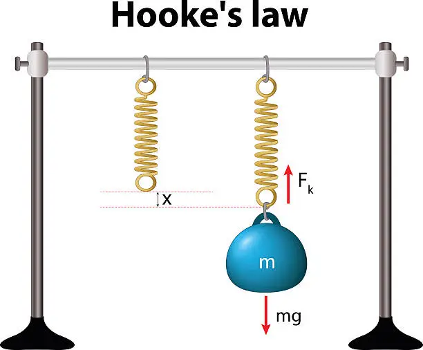 Vector illustration of Hooke's law. the force is proportional to the extension