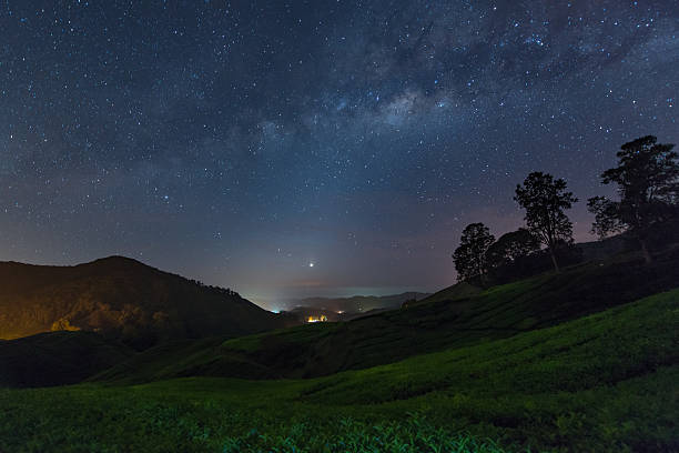 milchstraße sterne und teeplantage in hochland cameron hochland, malaysien - milky way galaxy star space stock-fotos und bilder