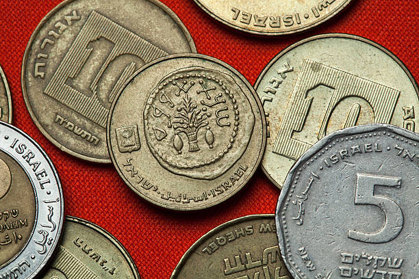 istock Coins of Israel. Lulav between two etrogim 513055022