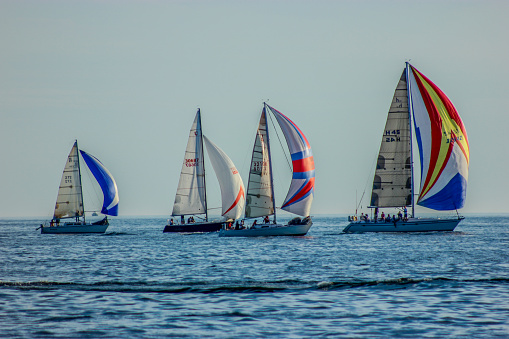 A small group of sailboats on Lake Michigan ranging from small to large in Holland, Michigan in the summer time. 