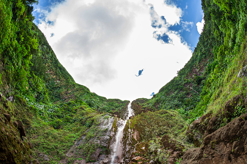 Carbet Falls (Les chutes du Carbet) - a series of waterfalls on the Carbet River in Guadeloupe. Its cascades are set on the lower slopes of the volcano La Soufrière. The falls' first cascade has a drop of more than 125 m.