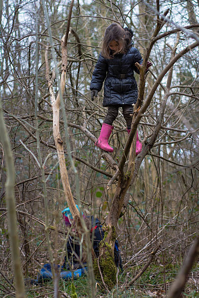 istock Young girl climbing tree in wood 513056482