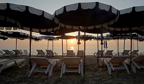 istock sunbed and umbrella on the beach 513056510